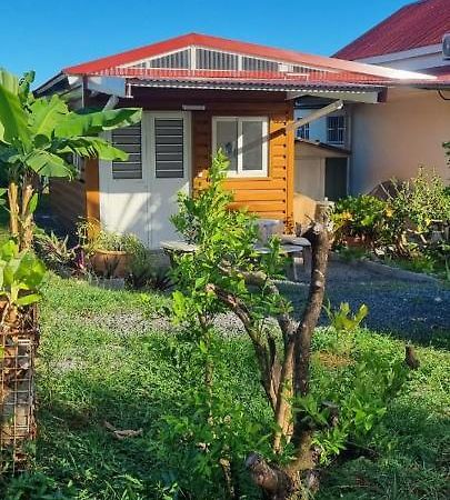 Studio 57 Bed & Breakfast Capesterre-Belle-Eau Ngoại thất bức ảnh